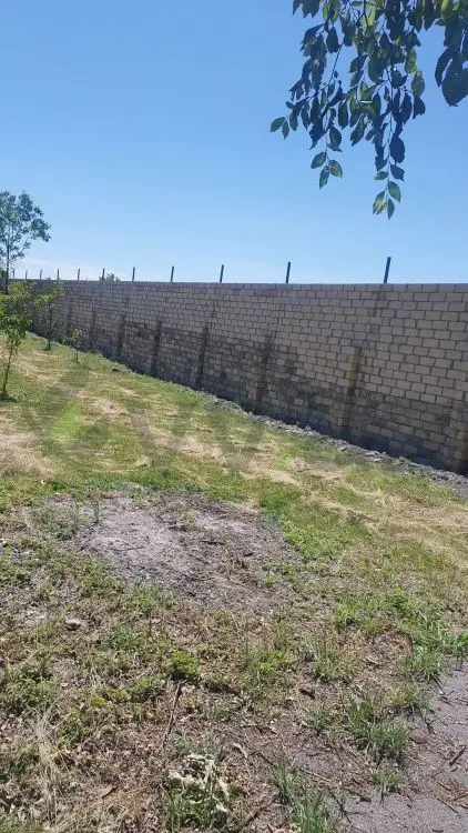 19 sot Torpaq Satılır, Göyçay — Torpaq, Göyçay (7)