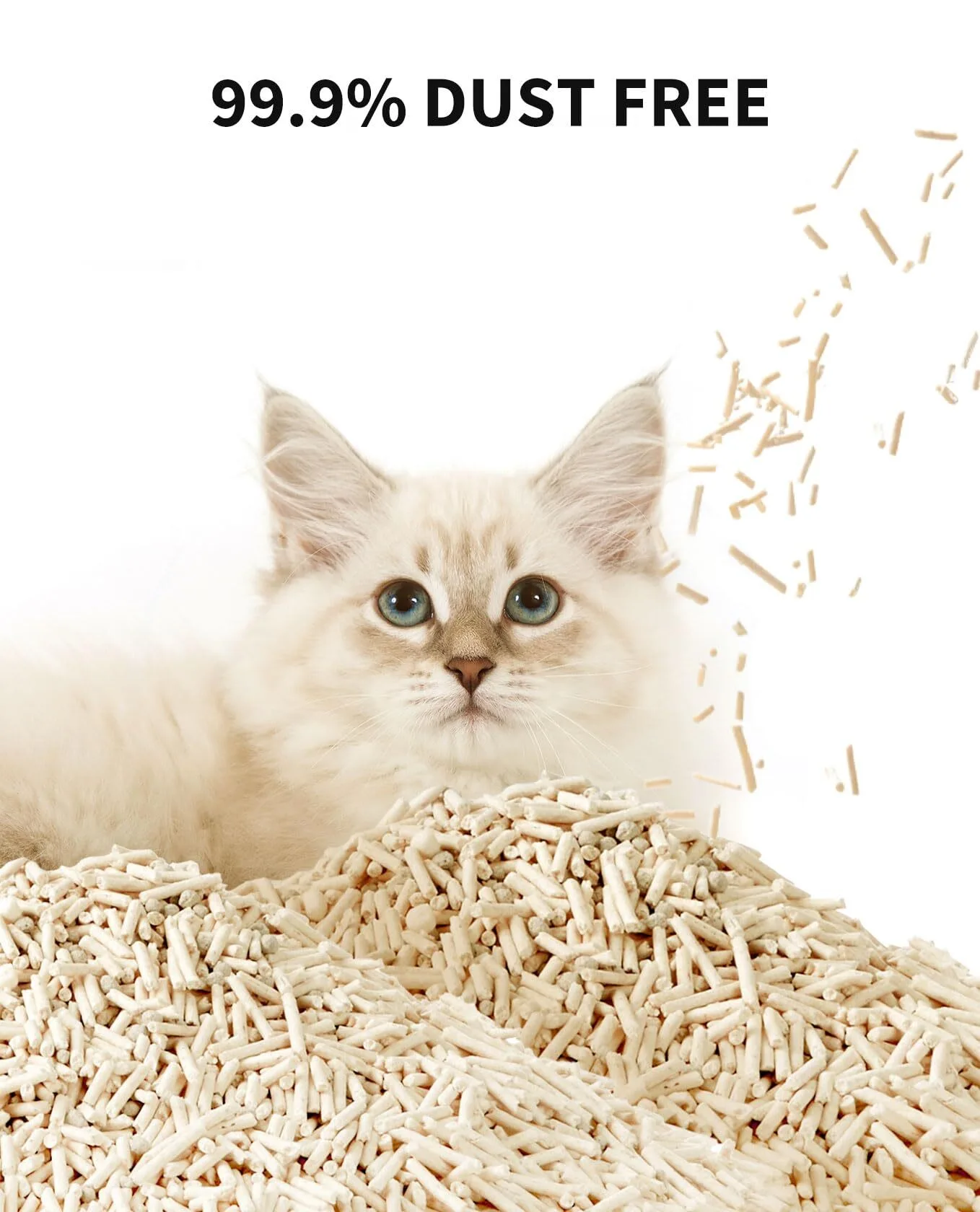 Petkıt Occult Blood Test Mixed Cat Litter — Mallar, Bakı (5)