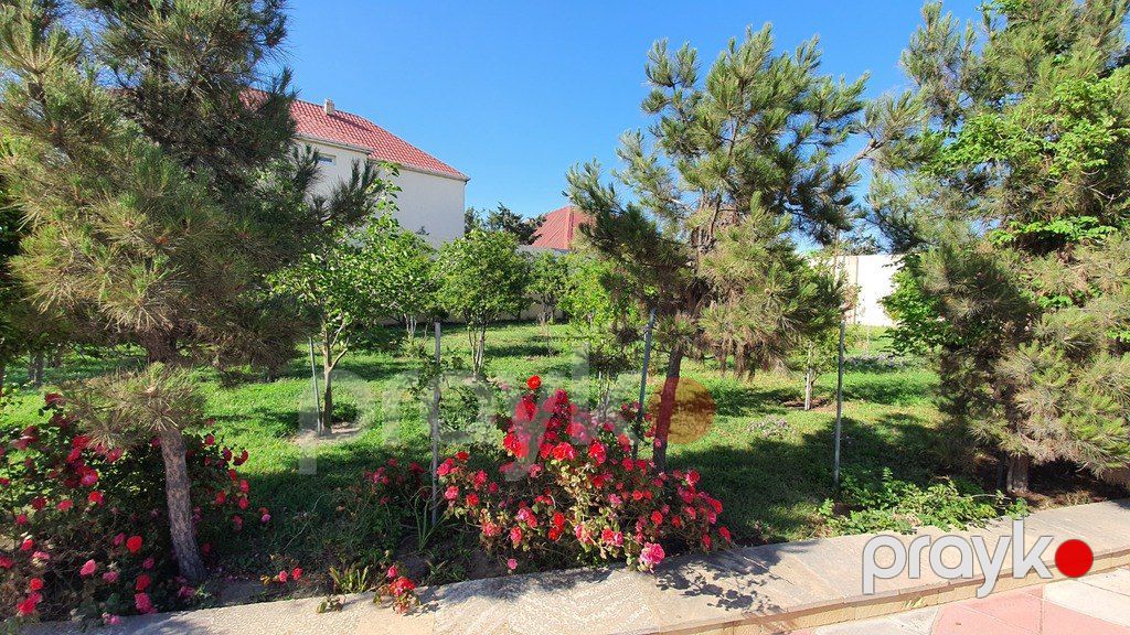 Satılır torpaq 38 sot — Torpaq, Bakı (5)