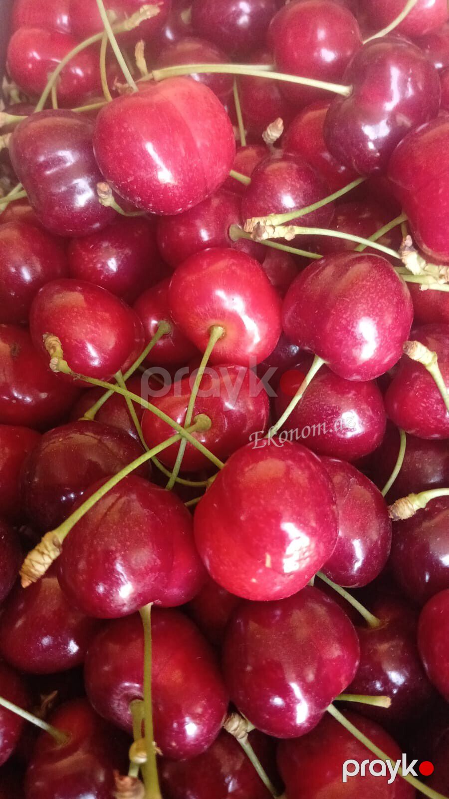 Quba rayonunda 2 hektar 13 sot bag satılır — Torpaq, Quba (6)