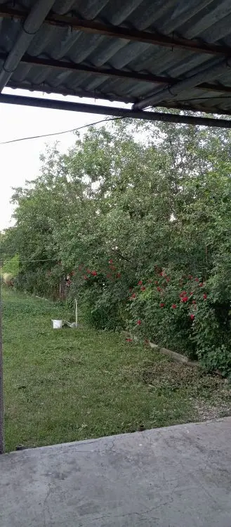 4 otaqlı Həyət evi Satılır, Şabran — Ev, villa, Şabran (7)