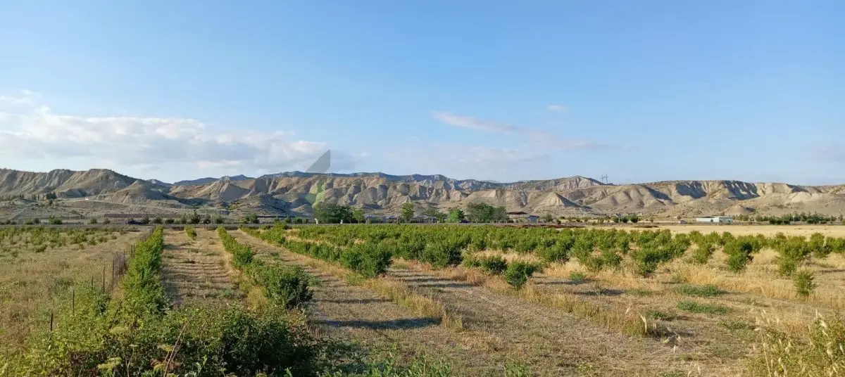 200 sot Torpaq Satılır, Göyçay — Torpaq, Göyçay (12)