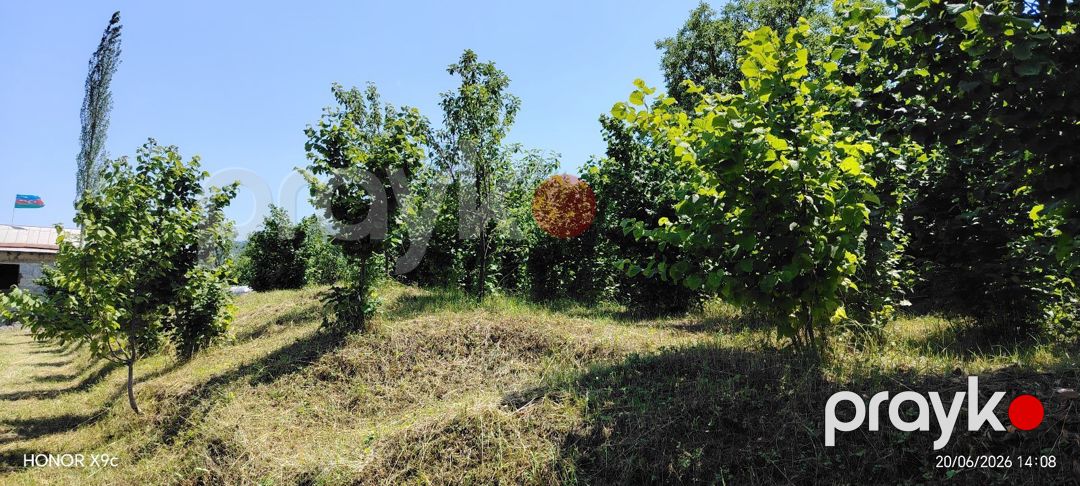 10 sot torpaq sahəsi, Quba r — Torpaq, Quba (8)