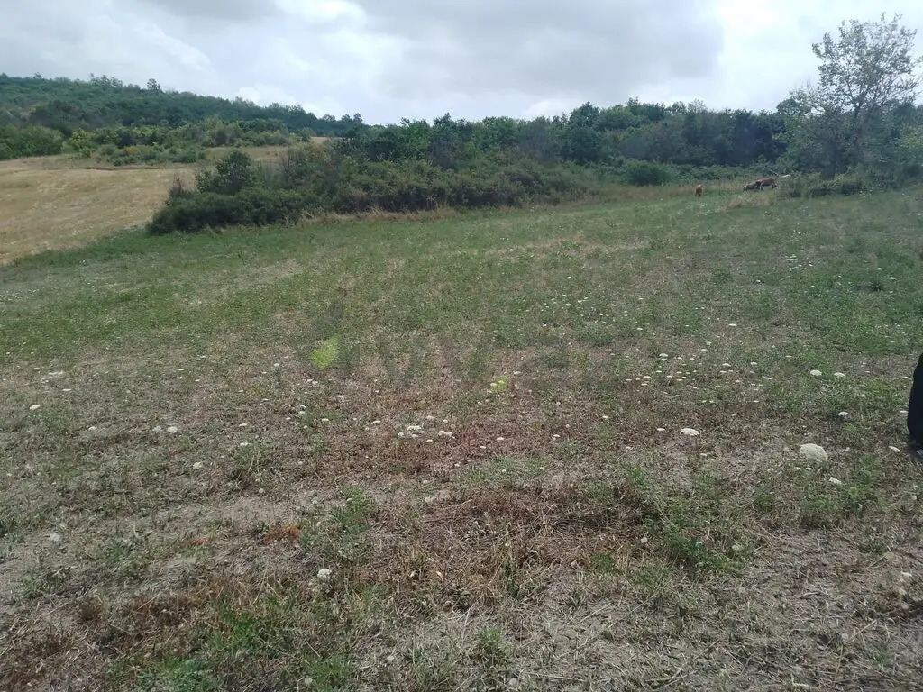 232 sot Torpaq Satılır, Şamaxı — Torpaq, Şamaxı (8)