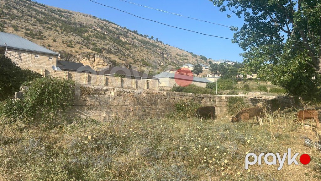 10 sot torpaq sahəsi, Kiçik Xınıslı kəndi — Torpaq, Şamaxı (7)