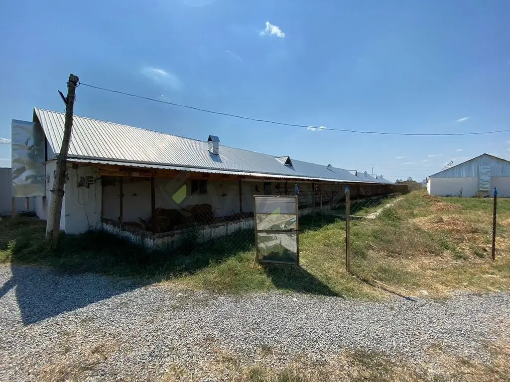 80 sot Torpaq Satılır, Ağsu — Torpaq, Ağsu (3)