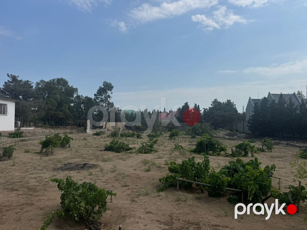 30 sot torpaq sahəsi, Şüvəlan qəs — Torpaq, Bakı (4)