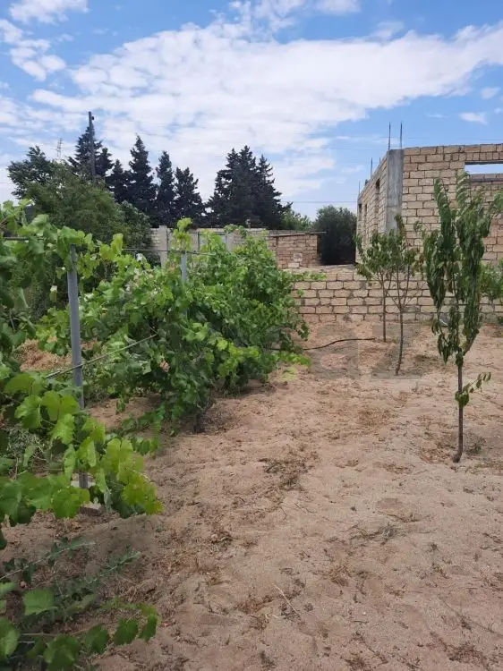10 sot Torpaq Satılır, Novxanı, Abşeron — Torpaq (5)