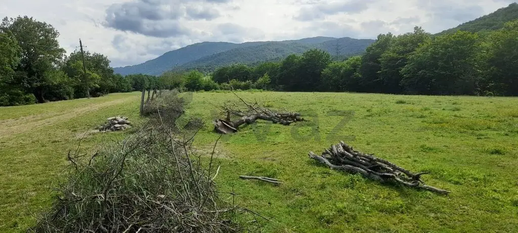 11 sot Torpaq Satılır, Quba — Torpaq, Quba (3)