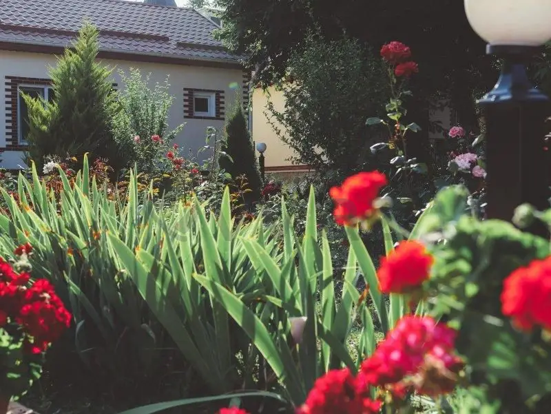 1 otaqlı Həyət evi Kirayə (günlük), Qusar — Ev, villa, Qusar (3)