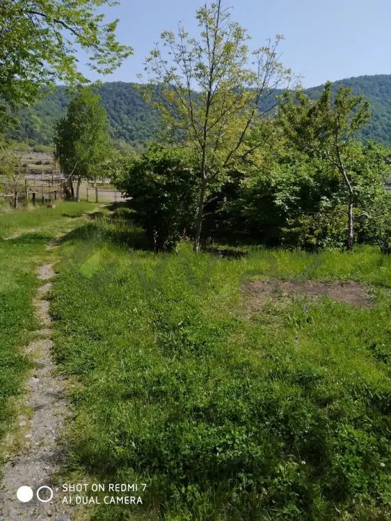18 sot Torpaq Satılır, Balakən — Balakən