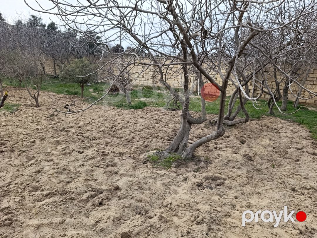 Satılır torpaq 8.1 sot — Torpaq, Bakı (6)