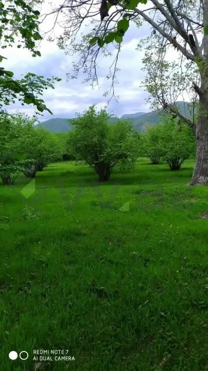 4 otaqlı Həyət evi Satılır, Qax — Ev, villa, Qax (11)