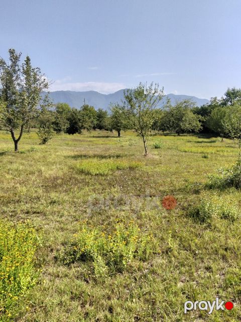 50 sot torpaq sahəsi, Həzrə k — Qəbələ