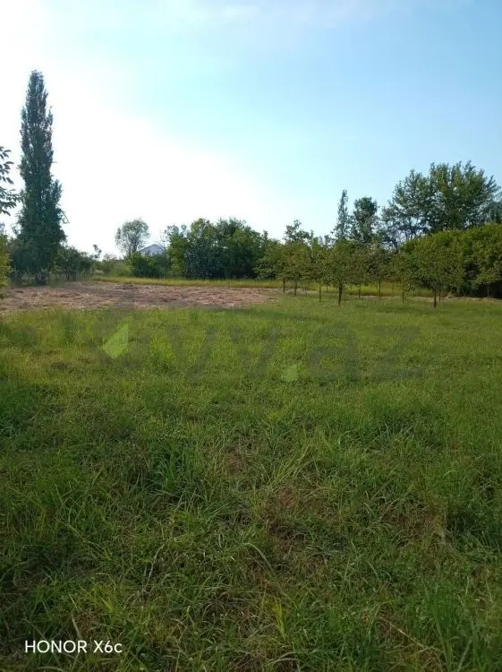 20 sot Torpaq Satılır, Ağdaş — Torpaq, Ağdaş (5)