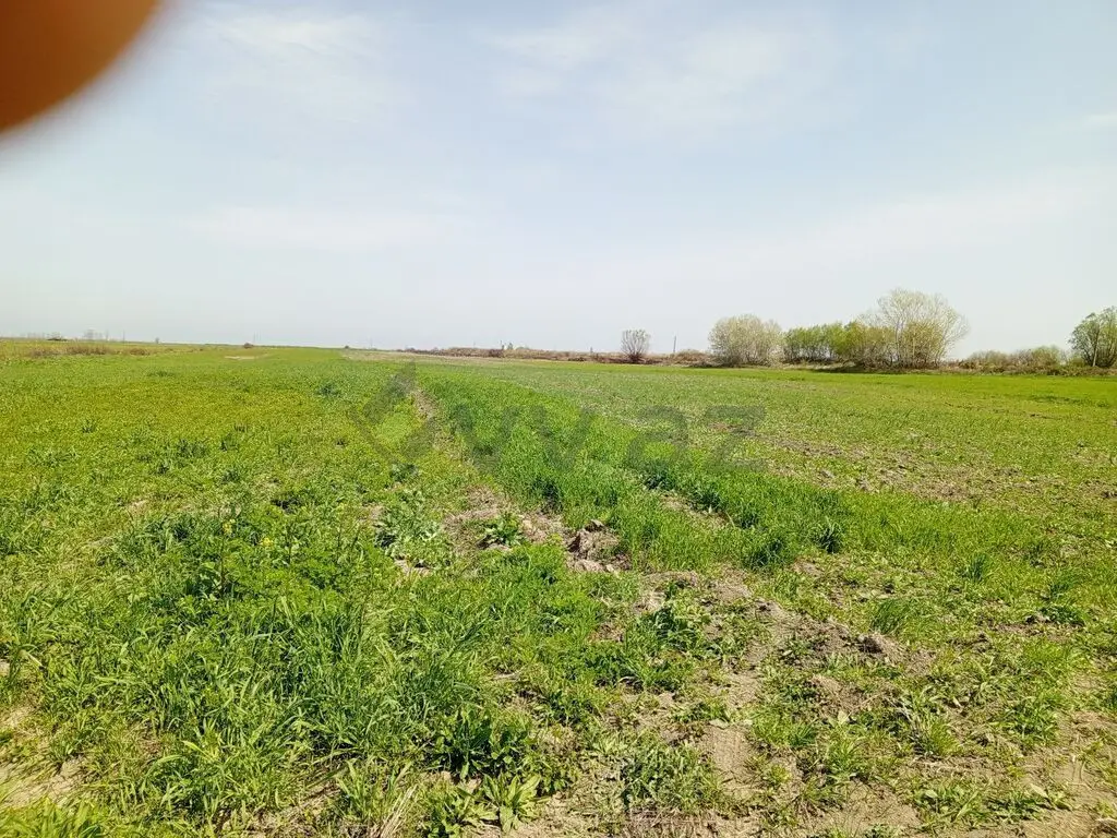 187 sot Torpaq Satılır, Xaçmaz — Torpaq, Xaçmaz (4)