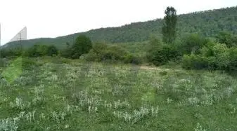 50 sot Torpaq Satılır, Qusar — Torpaq, Qusar (2)