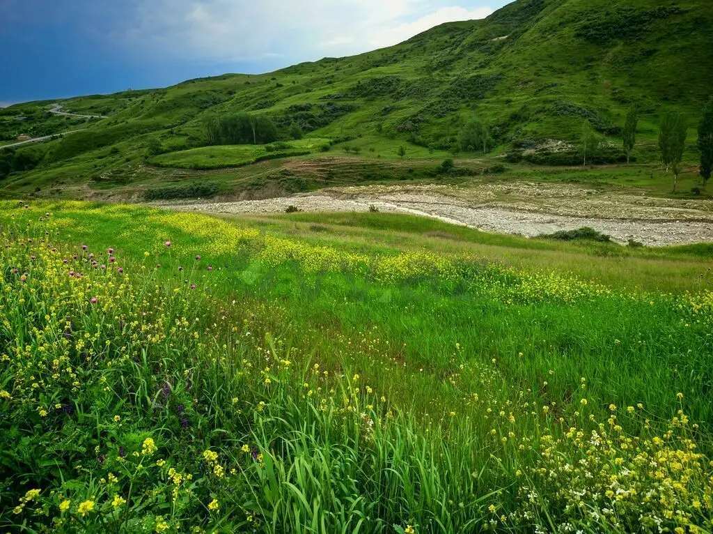 151 sot Torpaq Satılır, Şamaxı — Torpaq, Şamaxı (6)