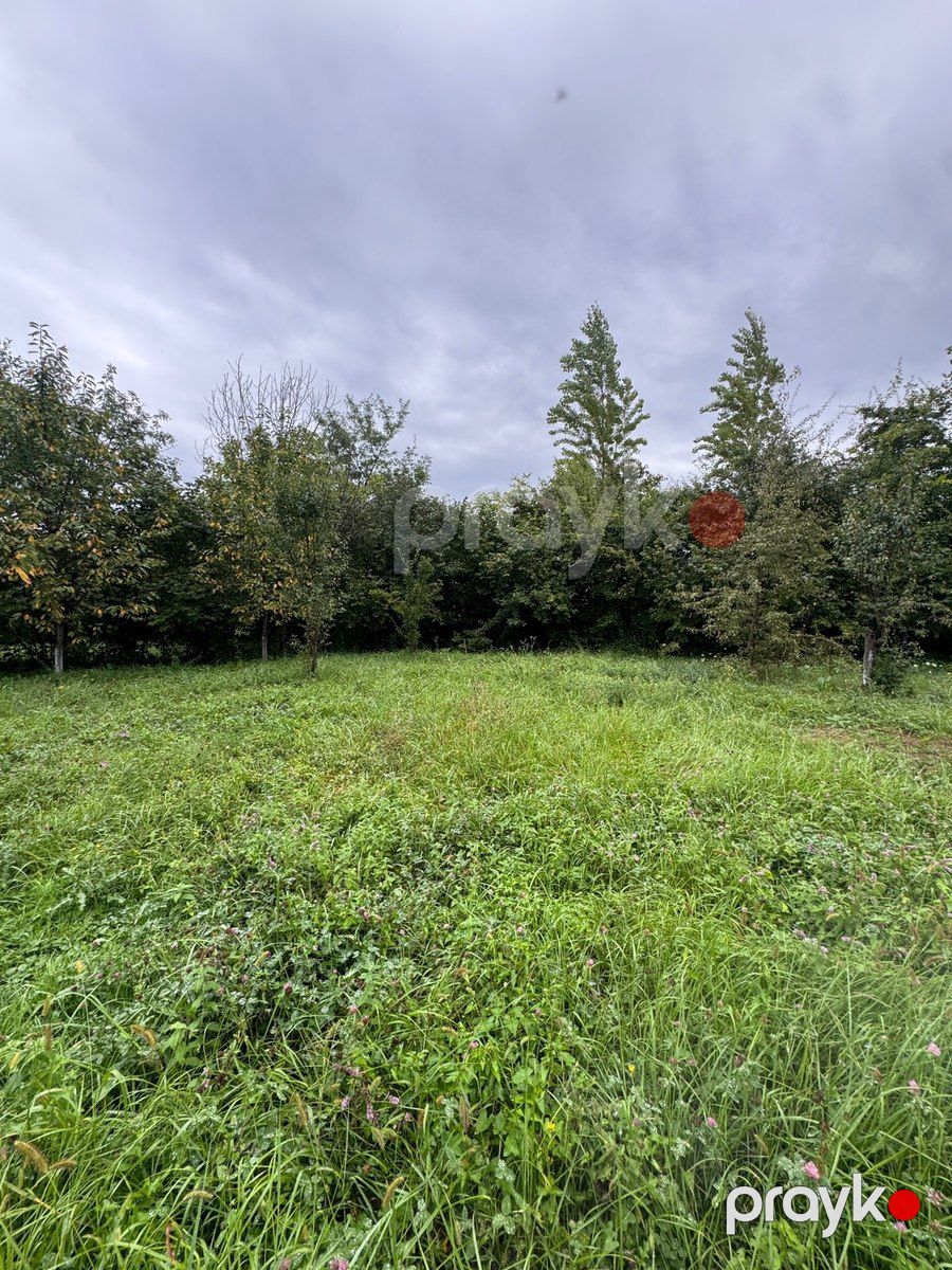 12 sot torpaq sahəsi, Qusar r — Torpaq, Qusar (6)