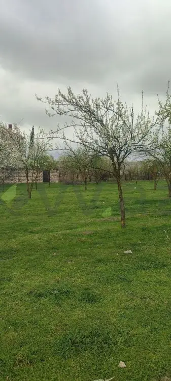 4 sot Torpaq Satılır, Quba — Torpaq, Quba (2)