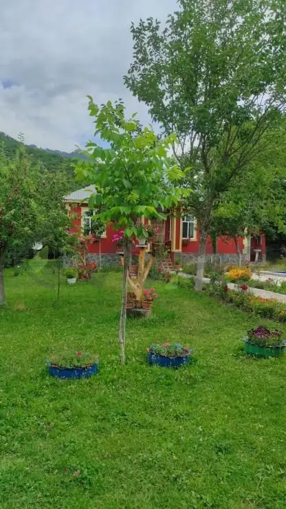 4 otaqlı Həyət evi Kirayə (günlük), Qəbələ — Ev, villa, Qəbələ (3)