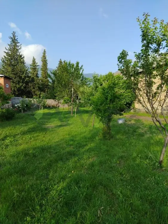 6 sot Torpaq Satılır, Oğuz — Torpaq, Oğuz (5)
