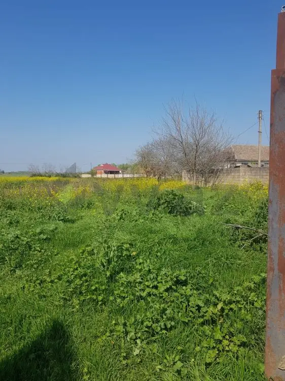 4 otaqlı Həyət evi Satılır, Masallı — Ev, villa, Masallı (4)