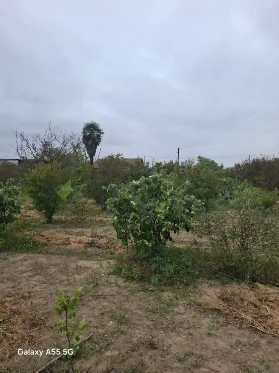 2 otaqlı Həyət evi Satılır, Gəncə — Ev, villa, Gəncə (7)