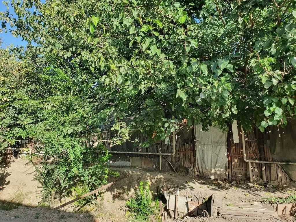 6 sot Torpaq Satılır, Mingəçevir — Torpaq, Mingəçevir (5)