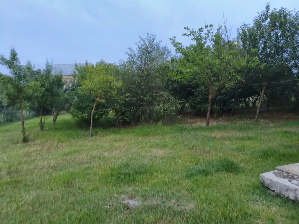 3 otaqlı Həyət evi Satılır, Masallı — Ev, villa, Masallı (3)