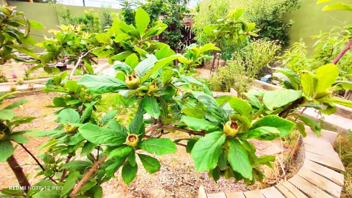 4 otaqlı Həyət evi Satılır, Hövsan qəs., Suraxanı, Bakı — Ev, villa, Bakı (7)