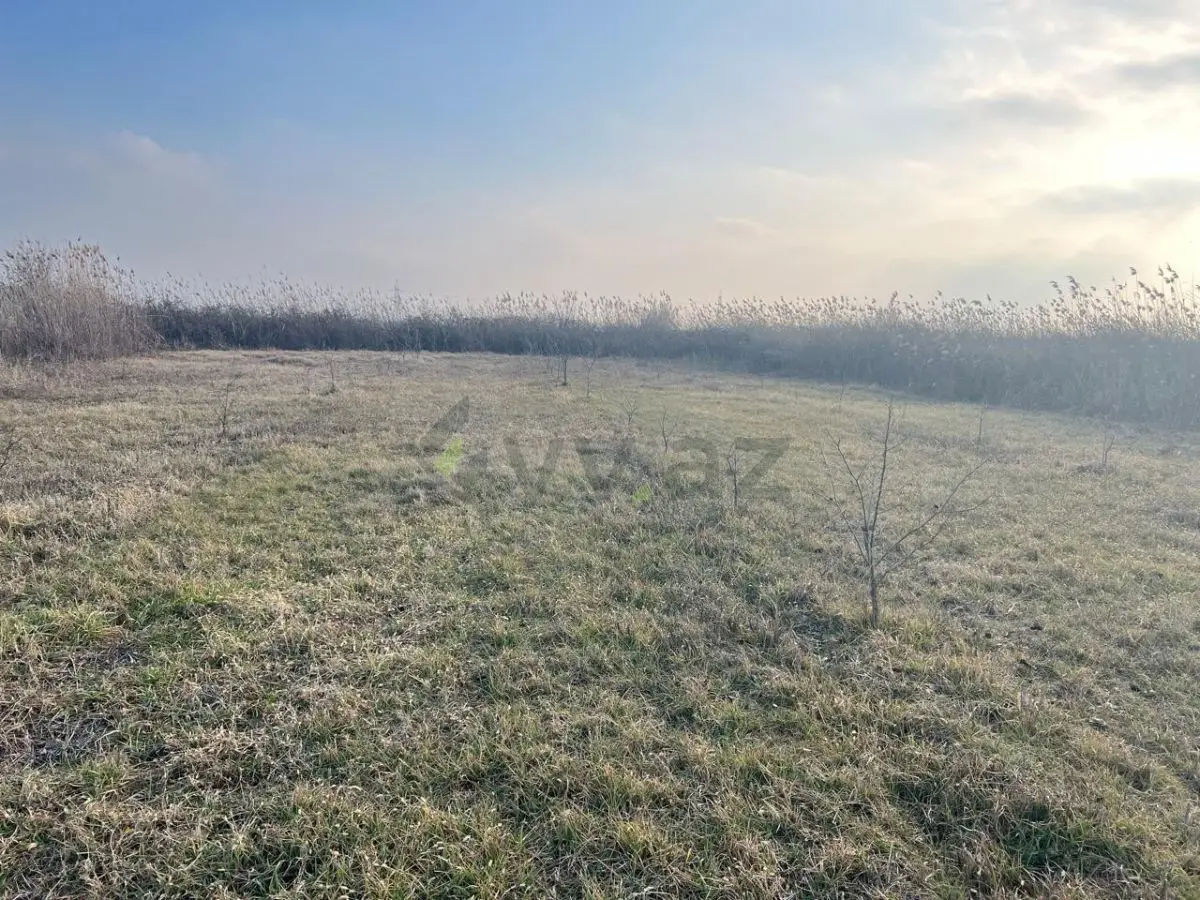 75 sot Torpaq Satılır, Göyçay — Torpaq, Göyçay (5)