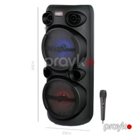 Peşəkar BTS-2175 Rəqəmsal Portativ Akustik Sistem — Bakı