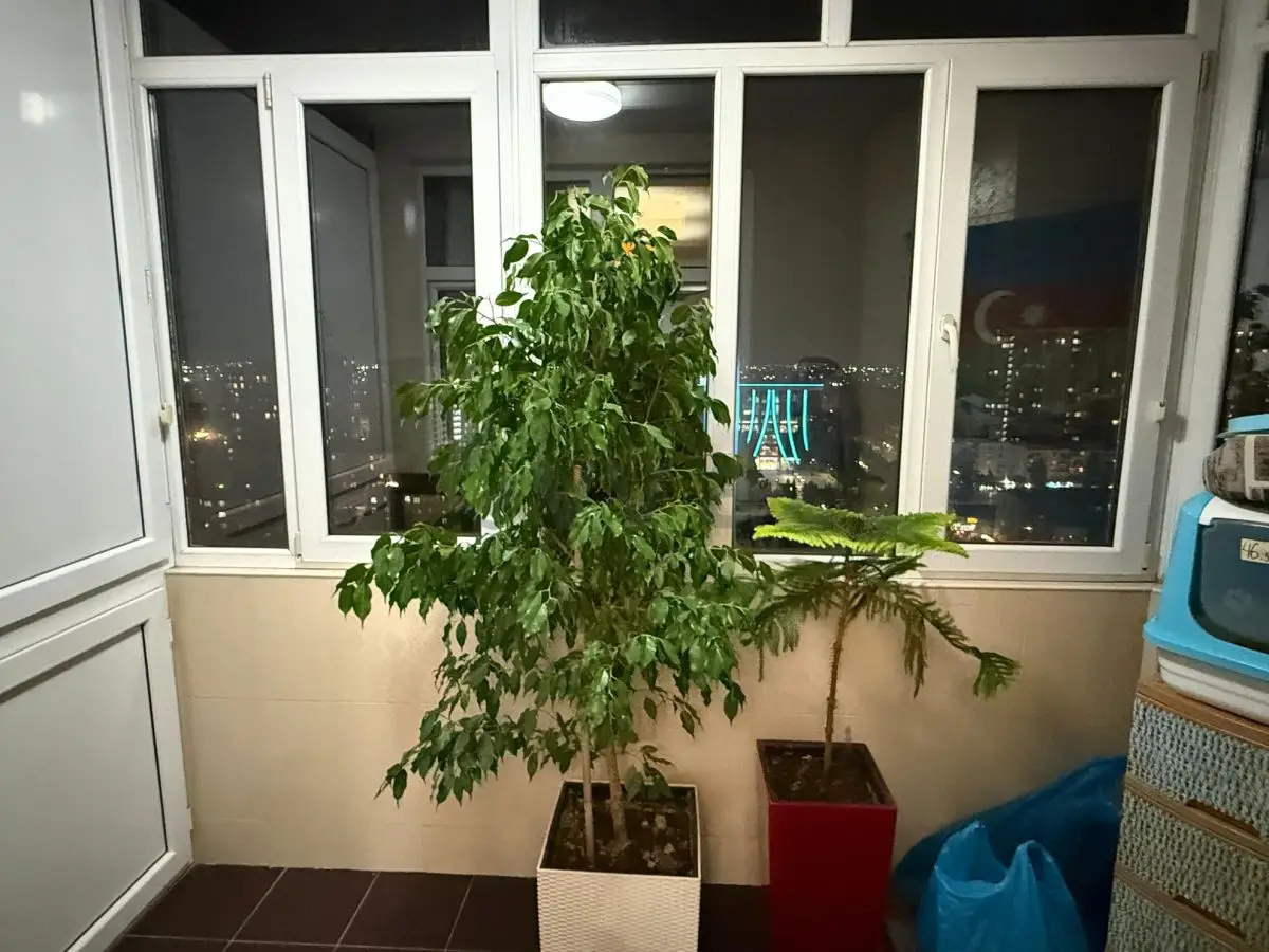 4 otaqlı mənzil Yeni tikili Satılır, 8-ci kilometr, Nizami, Bakı — Mənzil, Bakı (8)