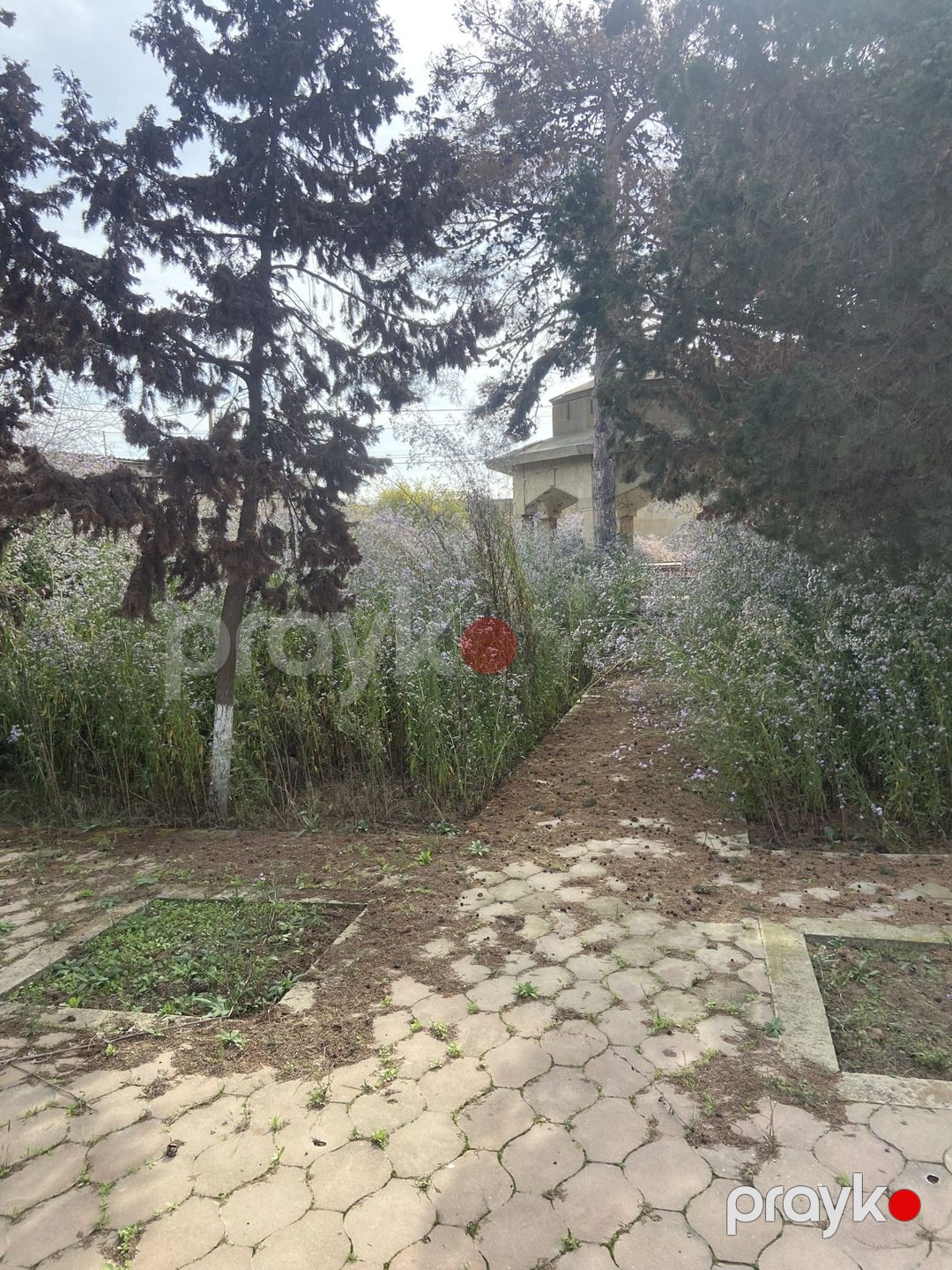 Satılır torpaq 9 sot — Torpaq, Bakı (4)