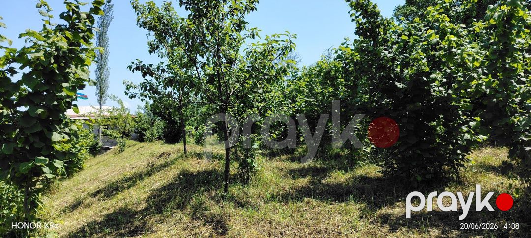 10 sot torpaq sahəsi, Quba r — Torpaq, Quba (7)