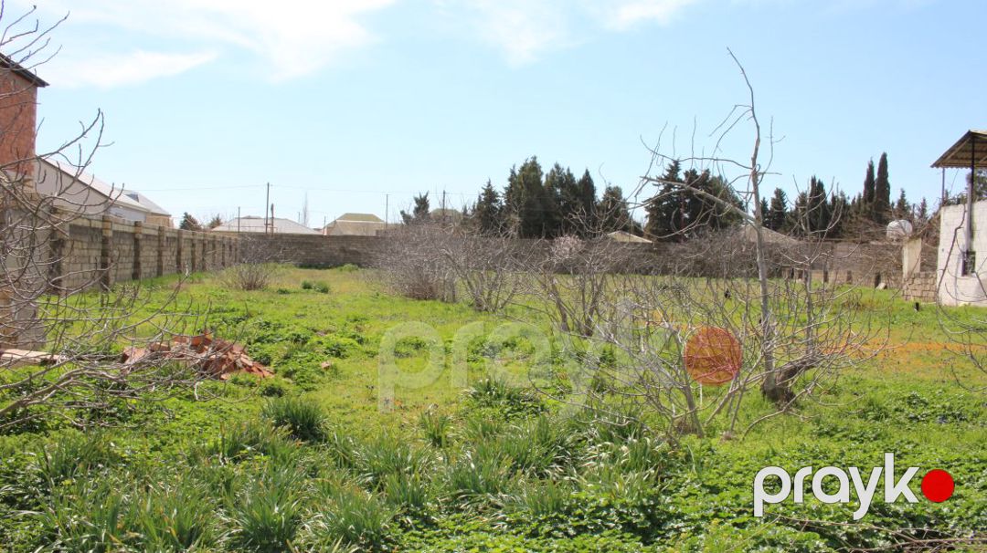 Satış: Torpaq, 33 sot, Sabunçu rayonu — Torpaq, Bakı (6)