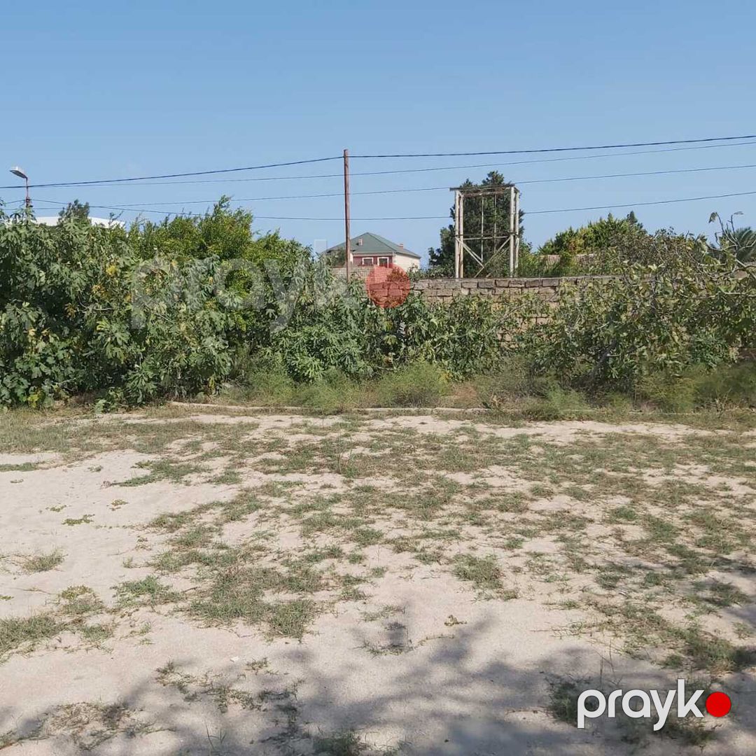 Satılır torpaq 20 sot — Torpaq, Bakı (2)