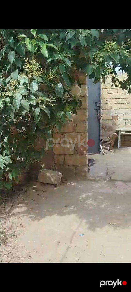 Həyət evi kirayə verilir, Binəqədi qəs — Ev, villa, Bakı (2)