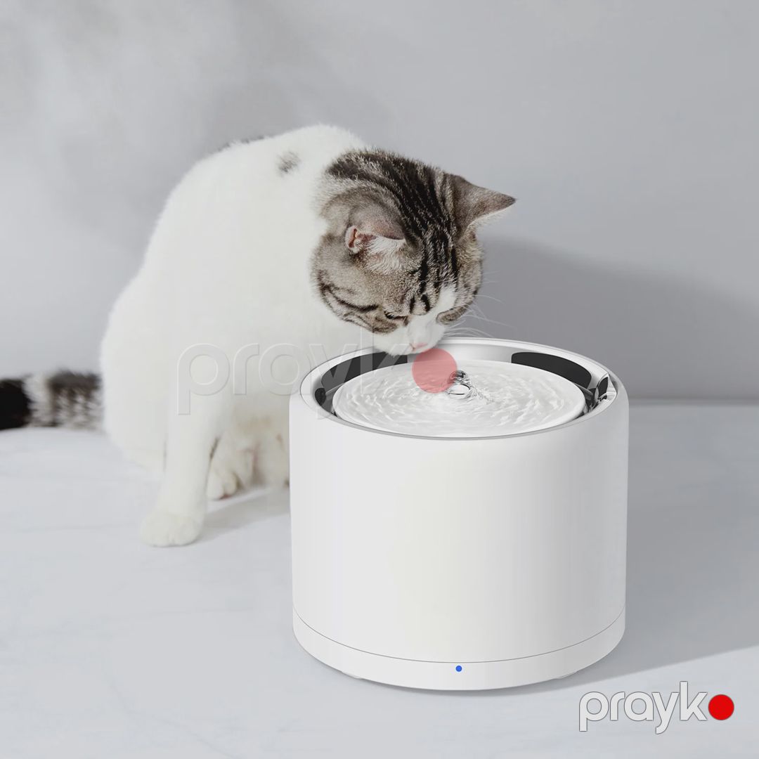 Ağıllı su qabı Petkit Eversweet 3 Pro-Wireless, 1.8 l — Mallar, Bakı (3)