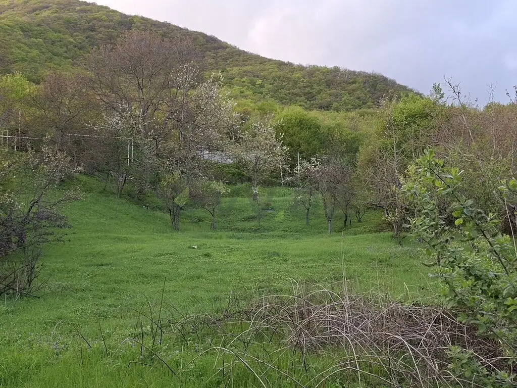 5 sot Torpaq Satılır, Şamaxı — Torpaq, Şamaxı (5)