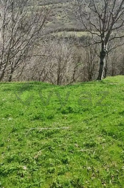 32 sot Torpaq Satılır, Tovuz — Torpaq, Tovuz (3)