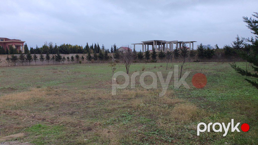 Satılır torpaq 59 sot — Torpaq, Bakı (4)