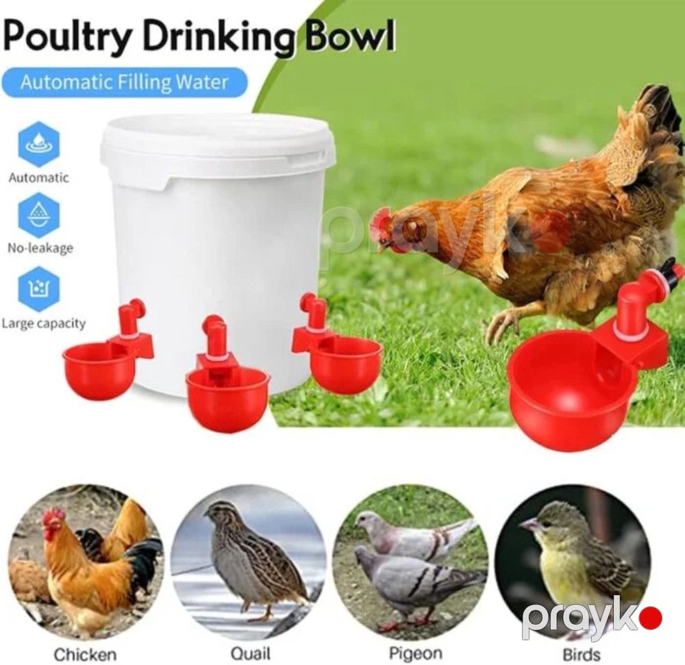 Su təknəsi 2129, plastik, qırmızı — Mallar, Bakı (3)