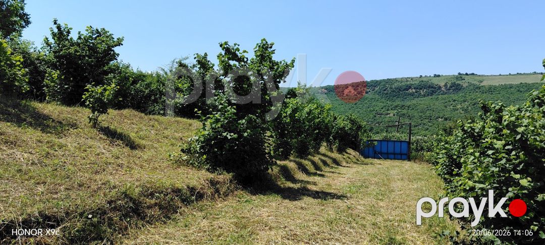 10 sot torpaq sahəsi, Quba r — Torpaq, Quba (10)