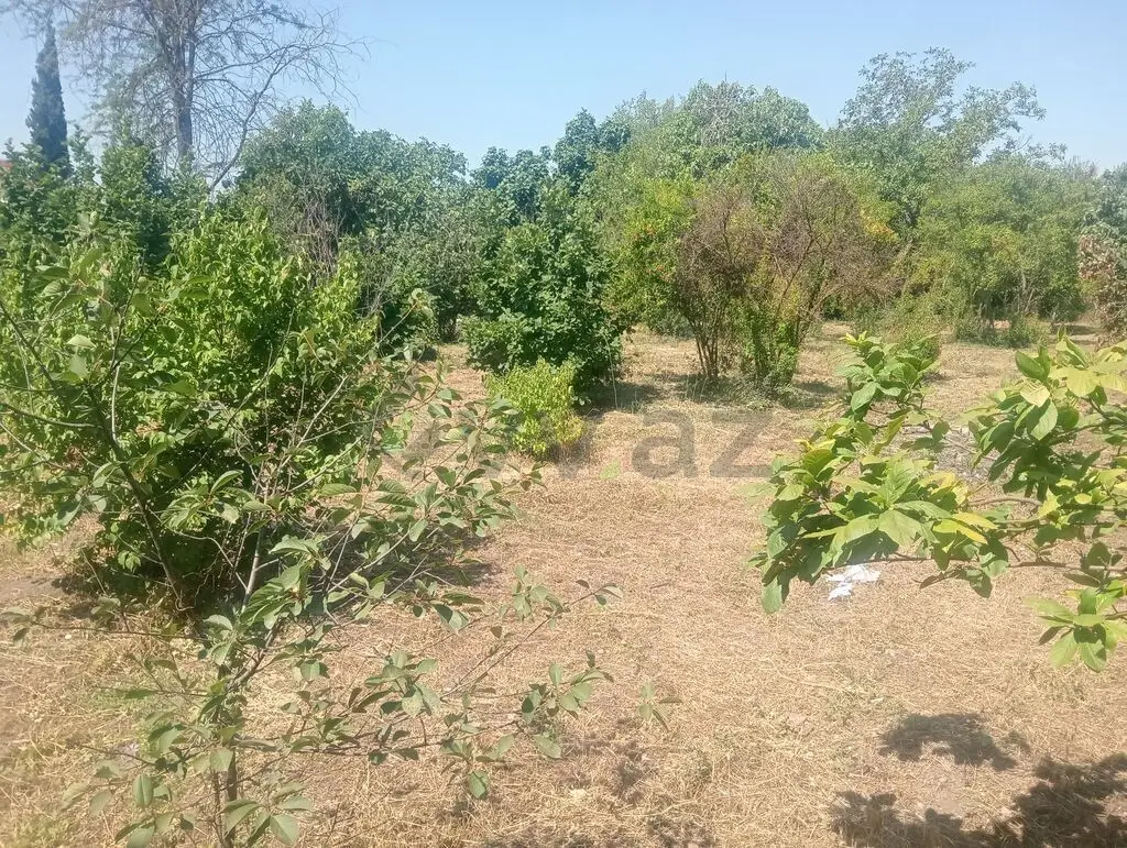 10 sot Torpaq Satılır, Bərdə — Torpaq, Bərdə (6)