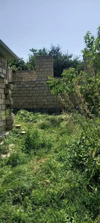5 sot Torpaq Satılır, Qəbələ — Qəbələ