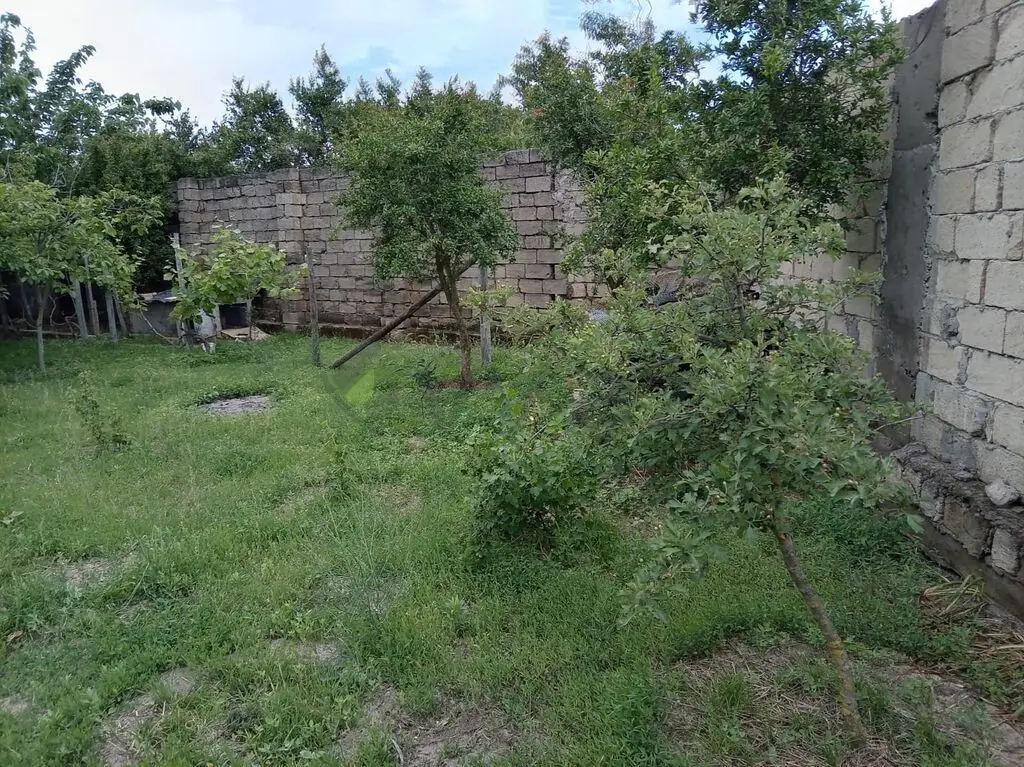 5 sot Torpaq Satılır, Novxanı, Abşeron — Torpaq (9)