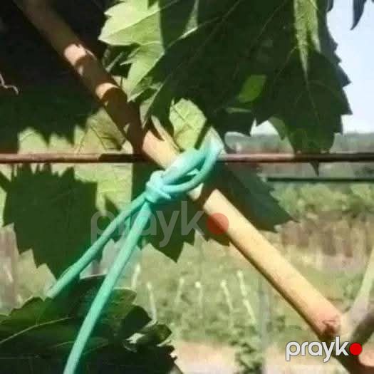 Agro rezin — Ev malları, Bakı (4)