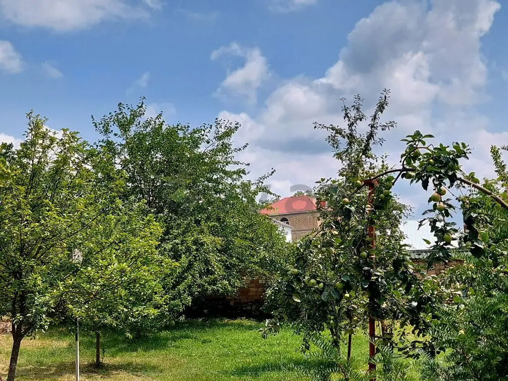 10 sot Torpaq Satılır, Qəbələ — Torpaq, Qəbələ (4)